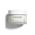 CAUDALIE Vinoperfect Anti-Pigmentfle.Cre.Ausstr.